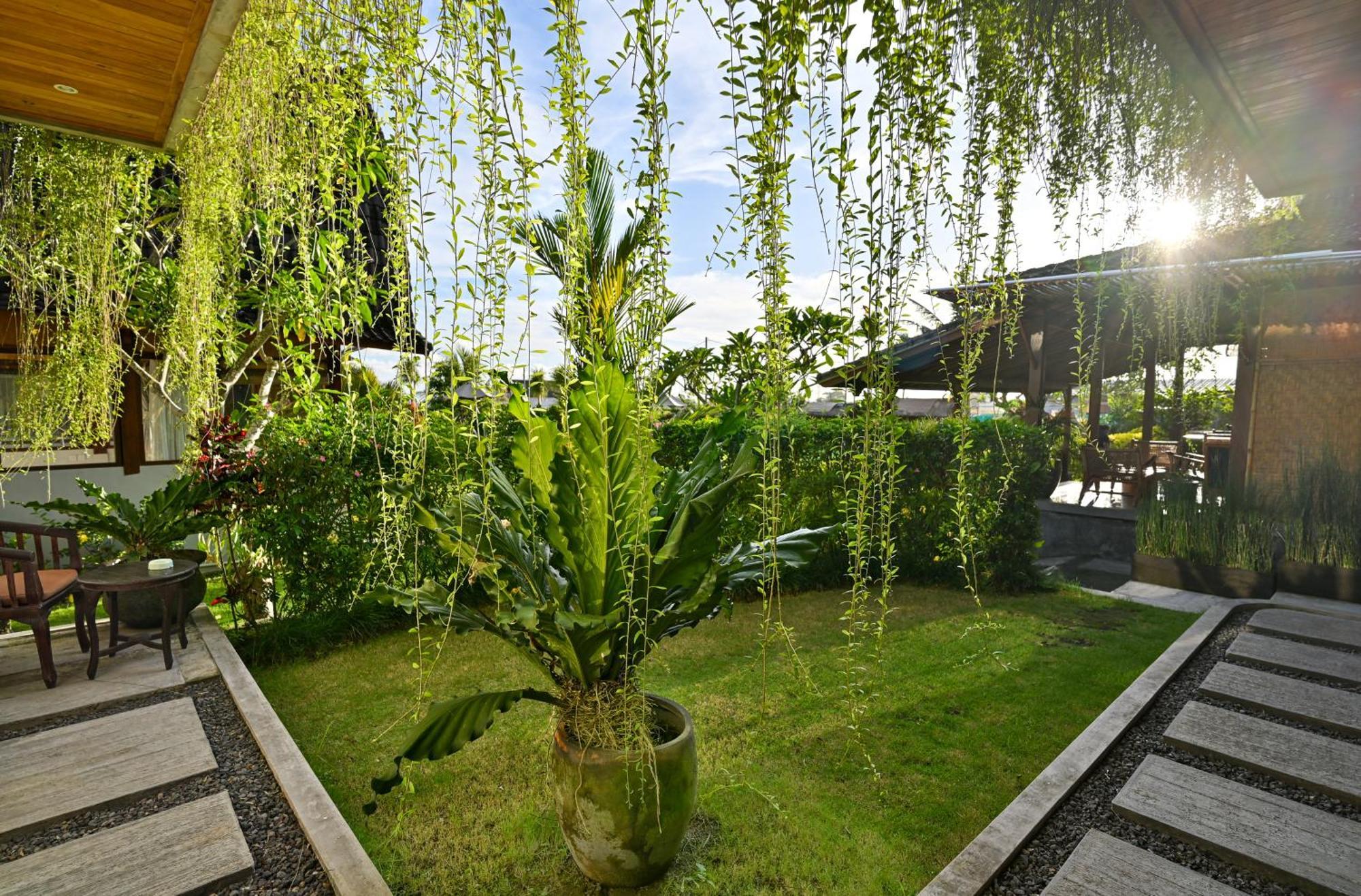 Canggu Wooden Green Paradise Habitación foto